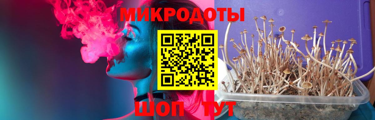 Псилоцибиновые грибы Psilocybe  Вход с VPN  дарнет шоп  Северодвинск 